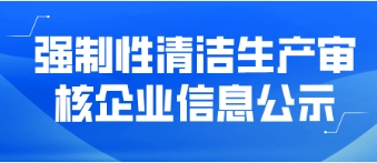 強制性清潔生產審核企業信息公示——武平偉明環保能源有限公司